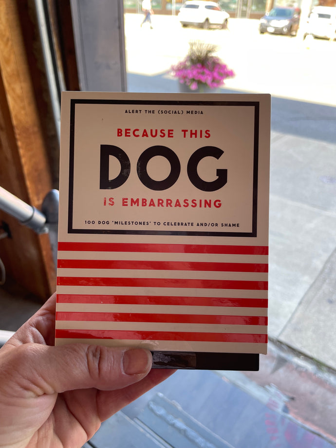 Because this dog is embarrassing/brilliant - Box Set of Cards
