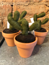 Felted Terra Cotta Cactus - Leikey Designs