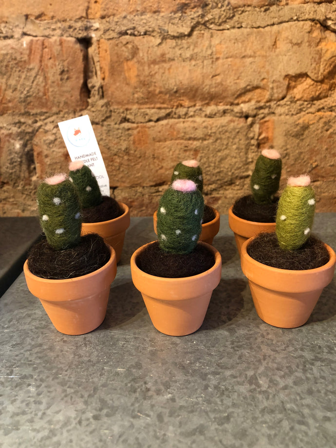 Felted Terra Cotta Cactus - Leikey Designs