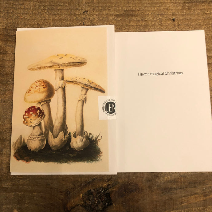 Magic Mushroom Christmas Card