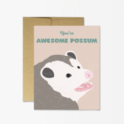 You're Awesome Possum Thank you Card